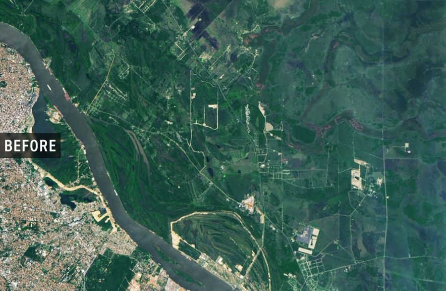 Fertile farmland with healthy crops and green vegetation